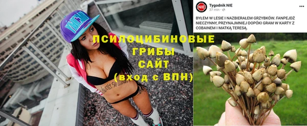 альфа пвп Михайловск