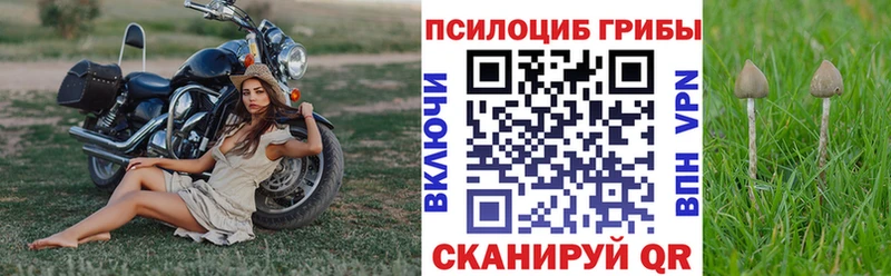 KRAKEN ТОР  Тырныауз  Псилоцибиновые грибы Cubensis 